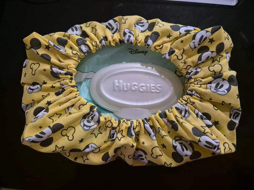 Wipes cover