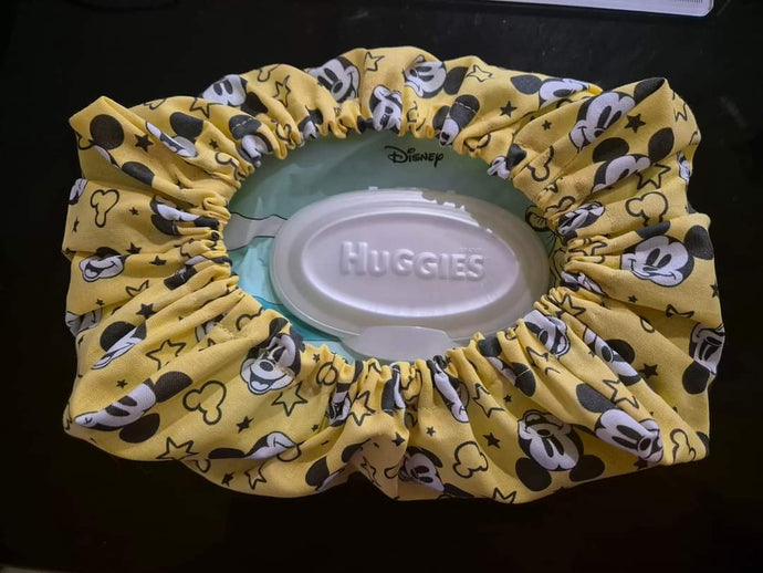 Wipes cover