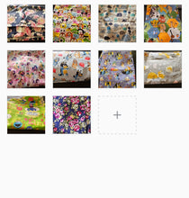 Load image into Gallery viewer, Large Lot 5